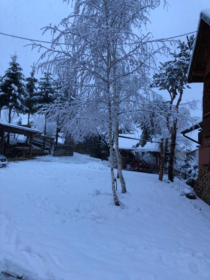 Pokoje U Adama Grajoka Szczawnica Exterior foto